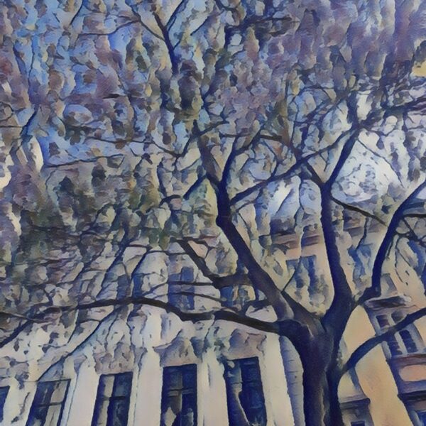 Arbre dans une rue de Vienne