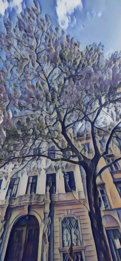 Arbre dans une rue de Vienne