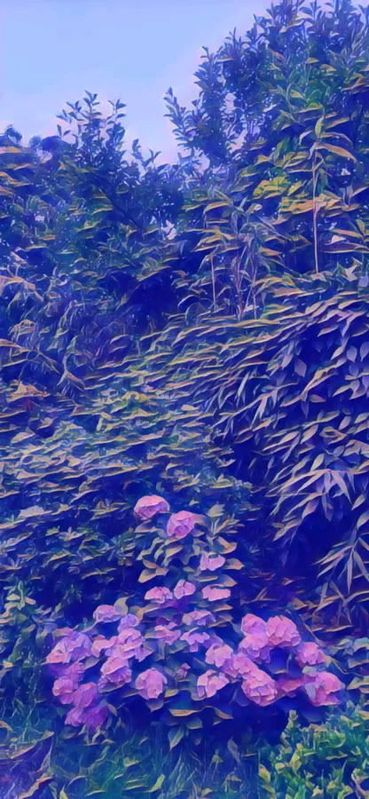 Jardin